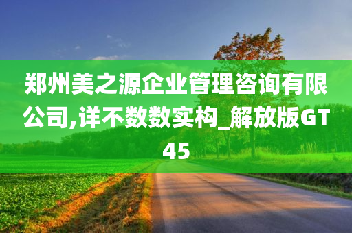 郑州美之源企业管理咨询有限公司,详不数数实构_解放版GT45