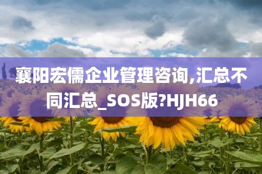 襄阳宏儒企业管理咨询,汇总不同汇总_SOS版?HJH66