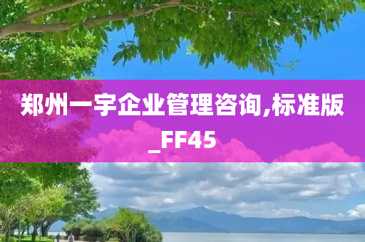 郑州一宇企业管理咨询,标准版_FF45