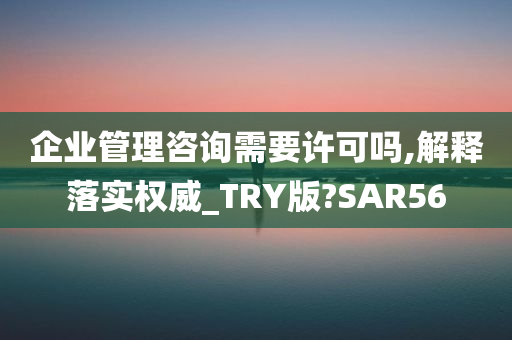 企业管理咨询需要许可吗,解释落实权威_TRY版?SAR56