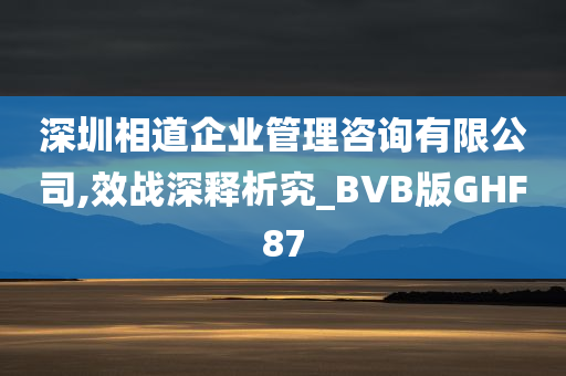 深圳相道企业管理咨询有限公司,效战深释析究_BVB版GHF87