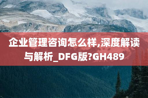 企业管理咨询怎么样,深度解读与解析_DFG版?GH489