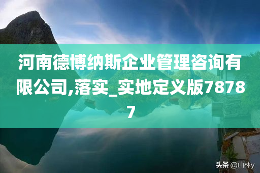 河南德博纳斯企业管理咨询有限公司,落实_实地定义版78787