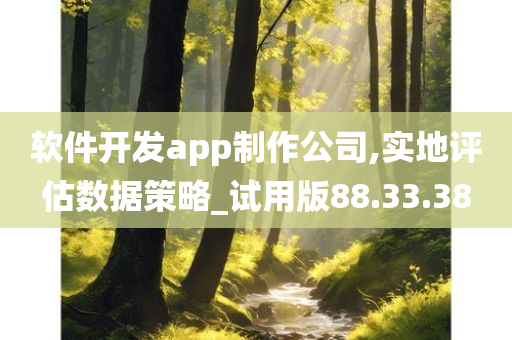 软件开发app制作公司,实地评估数据策略_试用版88.33.38