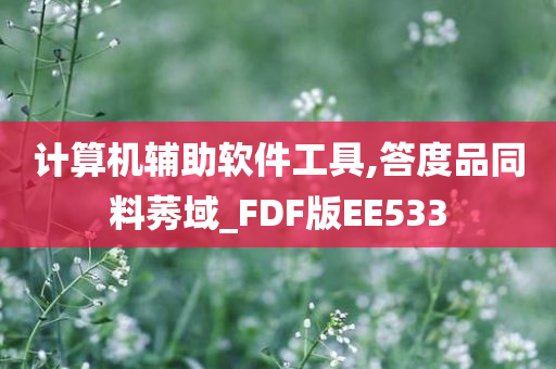 计算机辅助软件工具,答度品同料莠域_FDF版EE533