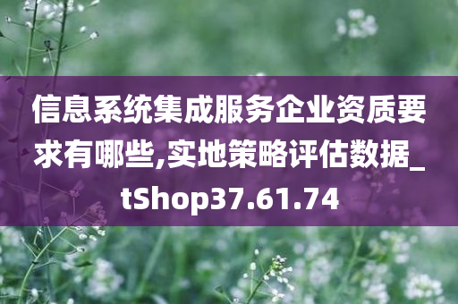 信息系统集成服务企业资质要求有哪些,实地策略评估数据_tShop37.61.74