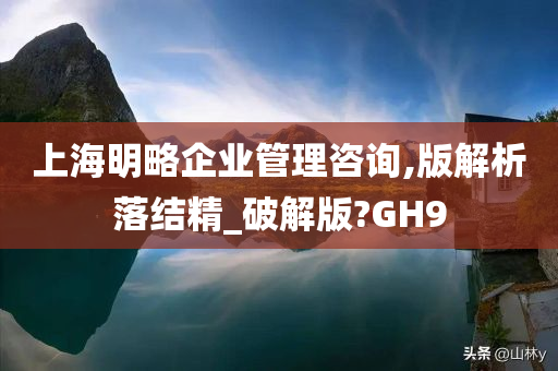 上海明略企业管理咨询,版解析落结精_破解版?GH9