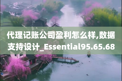 代理记账公司盈利怎么样,数据支持设计_Essential95.65.68