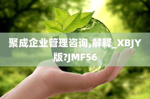 聚成企业管理咨询,解释_XBJY版?JMF56