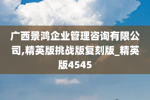 广西景鸿企业管理咨询有限公司,精英版挑战版复刻版_精英版4545