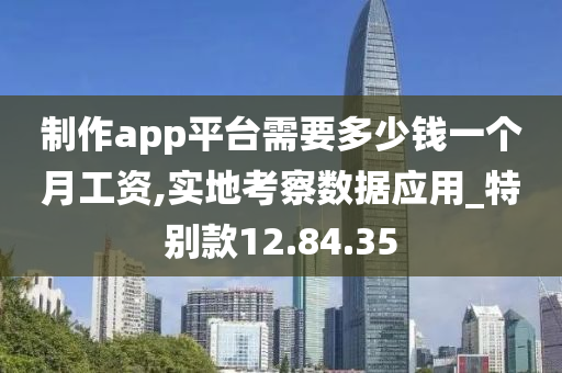 制作app平台需要多少钱一个月工资,实地考察数据应用_特别款12.84.35