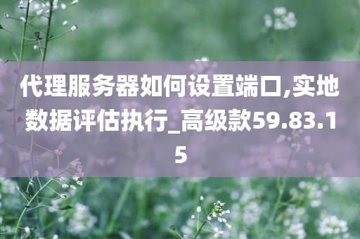 代理服务器如何设置端口,实地数据评估执行_高级款59.83.15