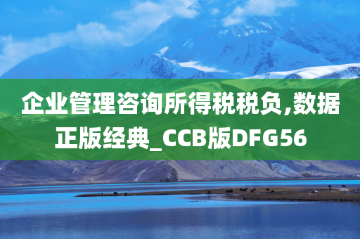 企业管理咨询所得税税负,数据正版经典_CCB版DFG56