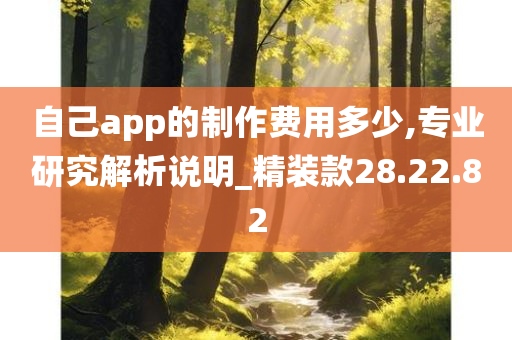 自己app的制作费用多少,专业研究解析说明_精装款28.22.82