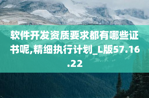 软件开发资质要求都有哪些证书呢,精细执行计划_L版57.16.22