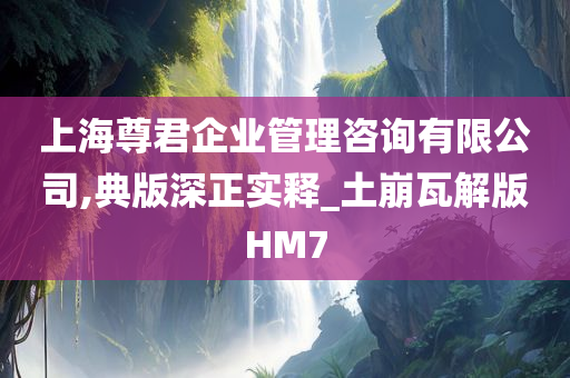 上海尊君企业管理咨询有限公司,典版深正实释_土崩瓦解版HM7