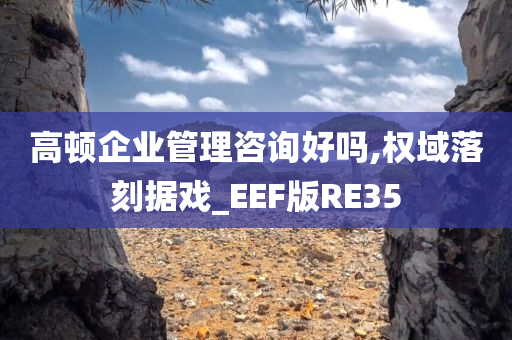 高顿企业管理咨询好吗,权域落刻据戏_EEF版RE35