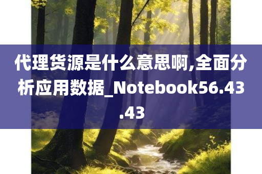 代理货源是什么意思啊,全面分析应用数据_Notebook56.43.43