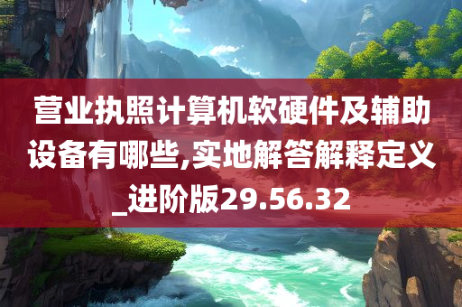 营业执照计算机软硬件及辅助设备有哪些,实地解答解释定义_进阶版29.56.32