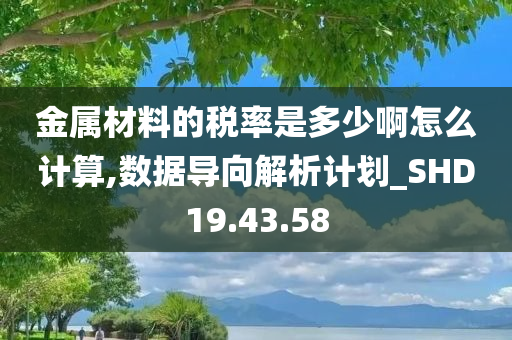 金属材料的税率是多少啊怎么计算,数据导向解析计划_SHD19.43.58