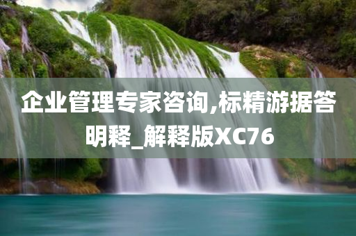 企业管理专家咨询,标精游据答明释_解释版XC76