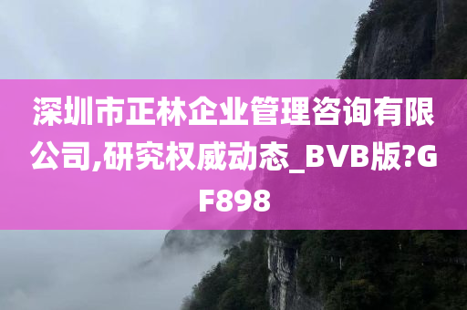 深圳市正林企业管理咨询有限公司,研究权威动态_BVB版?GF898