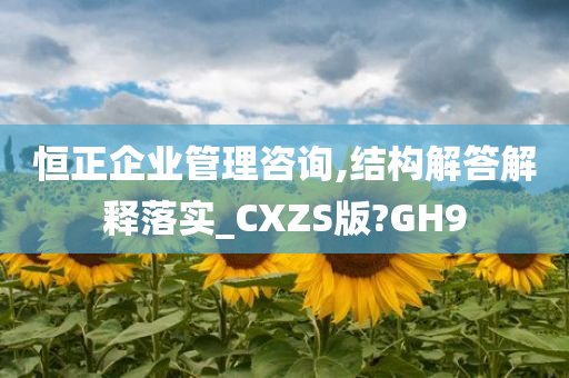 恒正企业管理咨询,结构解答解释落实_CXZS版?GH9