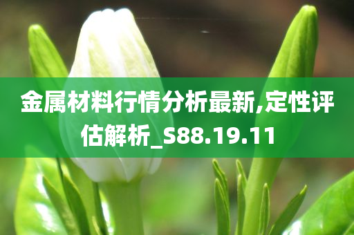 金属材料行情分析最新,定性评估解析_S88.19.11