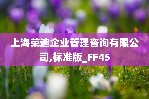 上海荣迪企业管理咨询有限公司,标准版_FF45