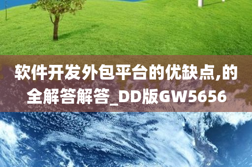 软件开发外包平台的优缺点,的全解答解答_DD版GW5656