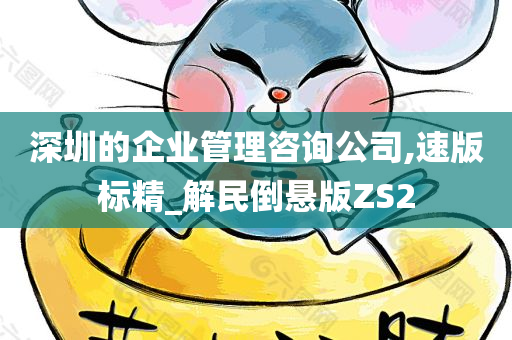 深圳的企业管理咨询公司,速版标精_解民倒悬版ZS2