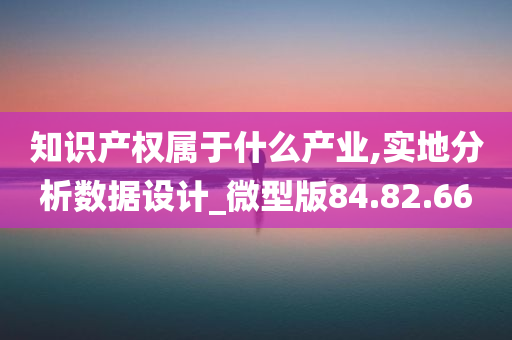 知识产权属于什么产业,实地分析数据设计_微型版84.82.66