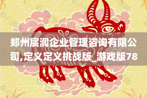 郑州宸润企业管理咨询有限公司,定义定义挑战版_游戏版78