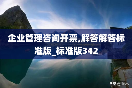 企业管理咨询开票,解答解答标准版_标准版342