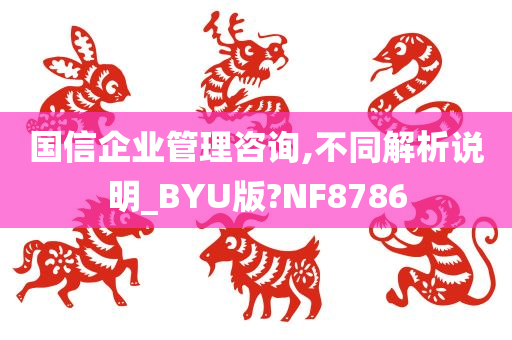 国信企业管理咨询,不同解析说明_BYU版?NF8786