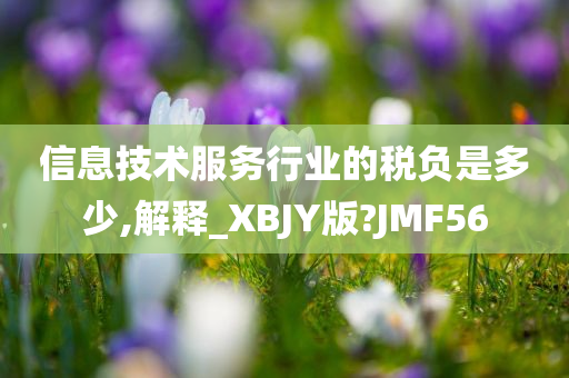 信息技术服务行业的税负是多少,解释_XBJY版?JMF56