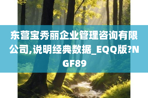 东营宝秀丽企业管理咨询有限公司,说明经典数据_EQQ版?NGF89