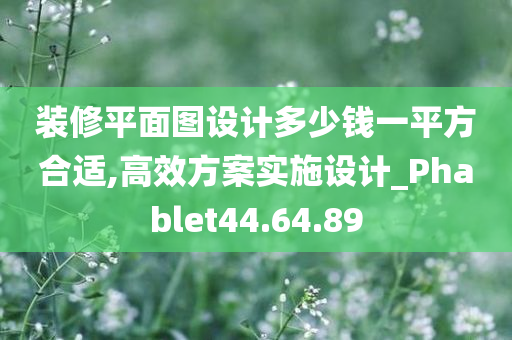 装修平面图设计多少钱一平方合适,高效方案实施设计_Phablet44.64.89