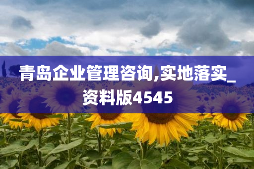 青岛企业管理咨询,实地落实_资料版4545