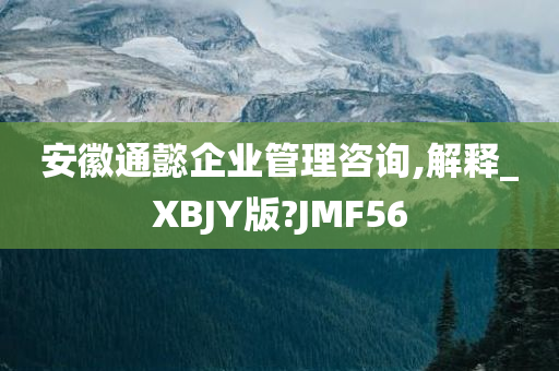 安徽通懿企业管理咨询,解释_XBJY版?JMF56