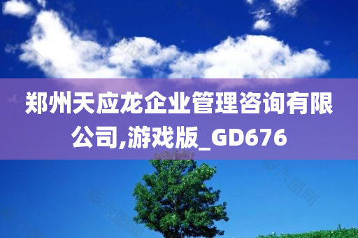 郑州天应龙企业管理咨询有限公司,游戏版_GD676