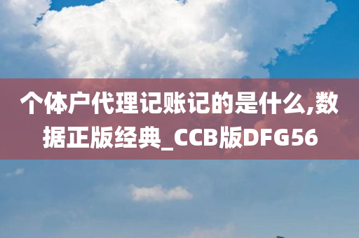 个体户代理记账记的是什么,数据正版经典_CCB版DFG56