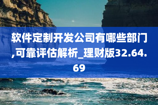 软件定制开发公司有哪些部门,可靠评估解析_理财版32.64.69