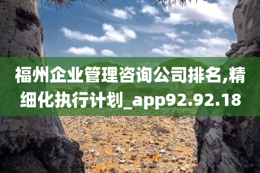 福州企业管理咨询公司排名,精细化执行计划_app92.92.18