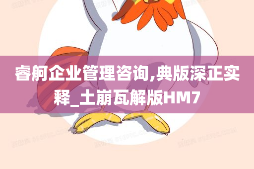 睿舸企业管理咨询,典版深正实释_土崩瓦解版HM7