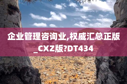 企业管理咨询业,权威汇总正版_CXZ版?DT434