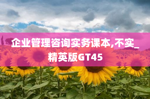 企业管理咨询实务课本,不实_精英版GT45