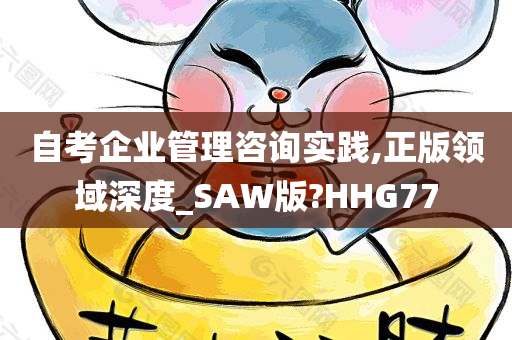 自考企业管理咨询实践,正版领域深度_SAW版?HHG77