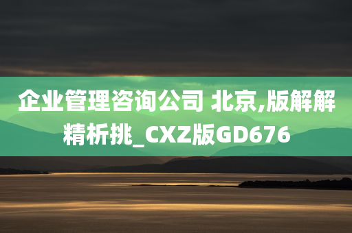 企业管理咨询公司 北京,版解解精析挑_CXZ版GD676