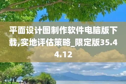 平面设计图制作软件电脑版下载,实地评估策略_限定版35.44.12